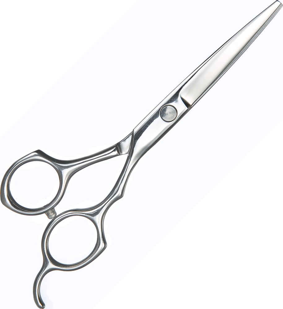 Achat En Ligne Ciseaux Coiffeur 14cm En Acier De Haute Qualite Ss