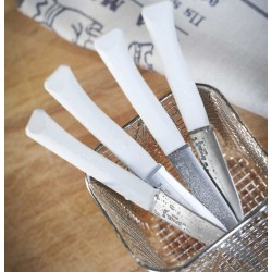 Coffret 4 Couteaux de table nuage micro-dentés, lave-vaiselle OPINEL