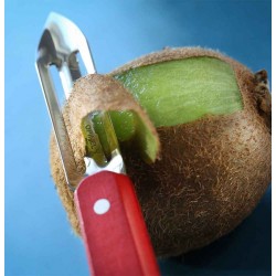 Eplucheur Micro-denté OPINEL Rouge