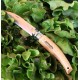 Couteau OPINEL de Jardin N°8 manche hêtre naturel, lame inoxydable