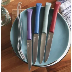 Coffret 4 Couteaux de table Bon appétit + Glam, lave-vaiselle OPINEL