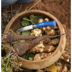 Couteau mon 1er opinel lame arrondie naturel manche bleu