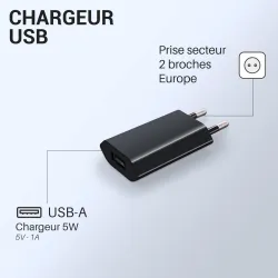 Achat en ligne Chargeur double pour Prise USB